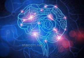 人类协作新高度：探讨“默契程度”在高危作业中的决定性作用